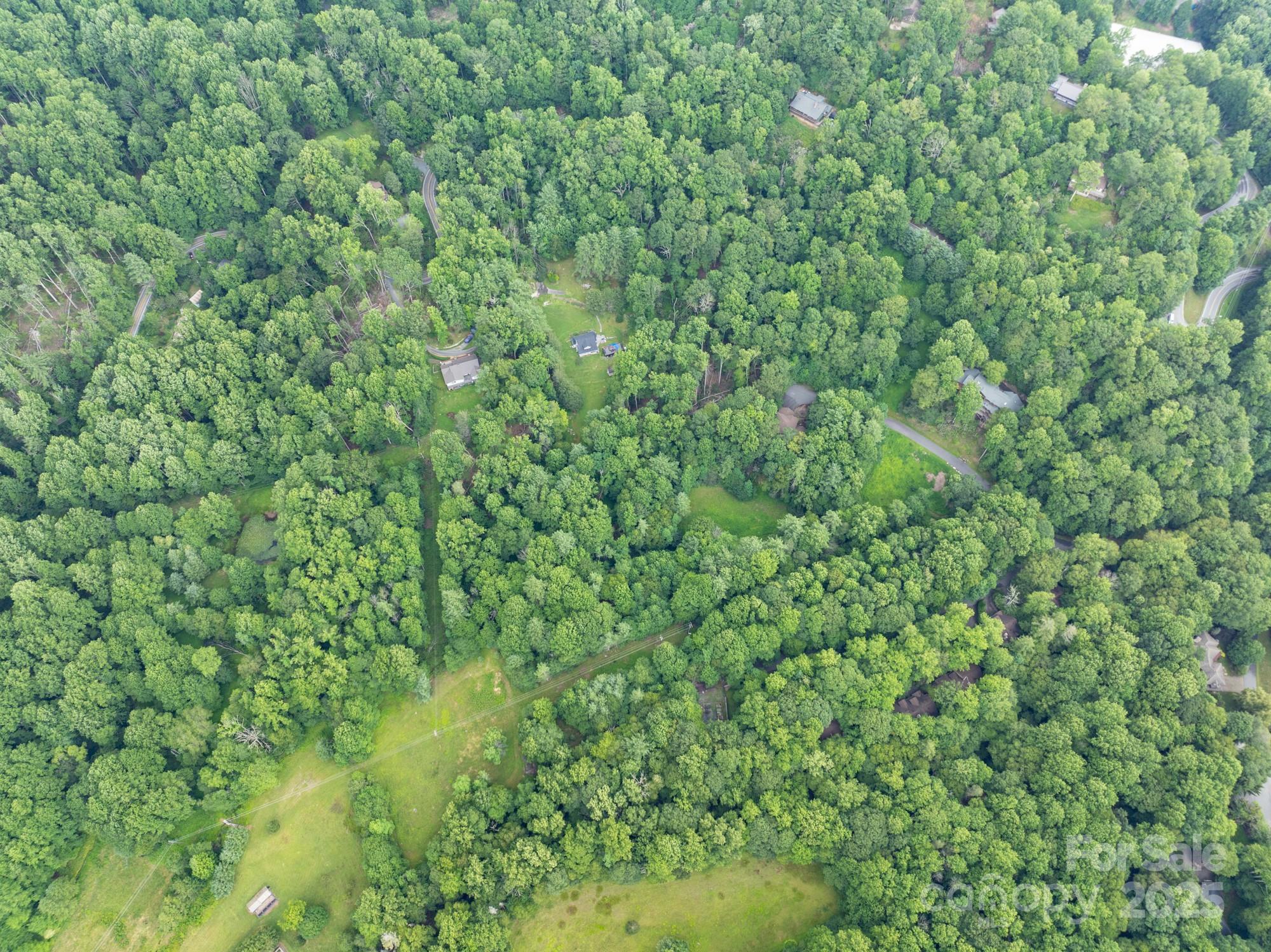 230 West Cove Lane Boone, NC 28607 - Photo 28 of 46 a view of a lush green forest with a tree