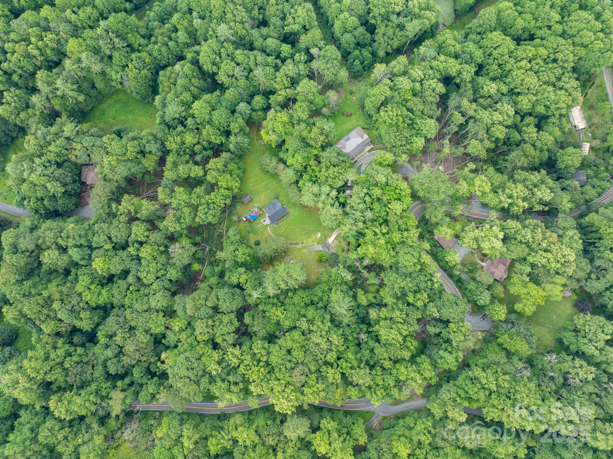230 West Cove Lane Boone, NC 28607 - Photo 29 of 46 a view of a lush green forest with a tree