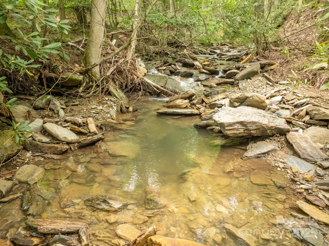 a view of a garden with a lake