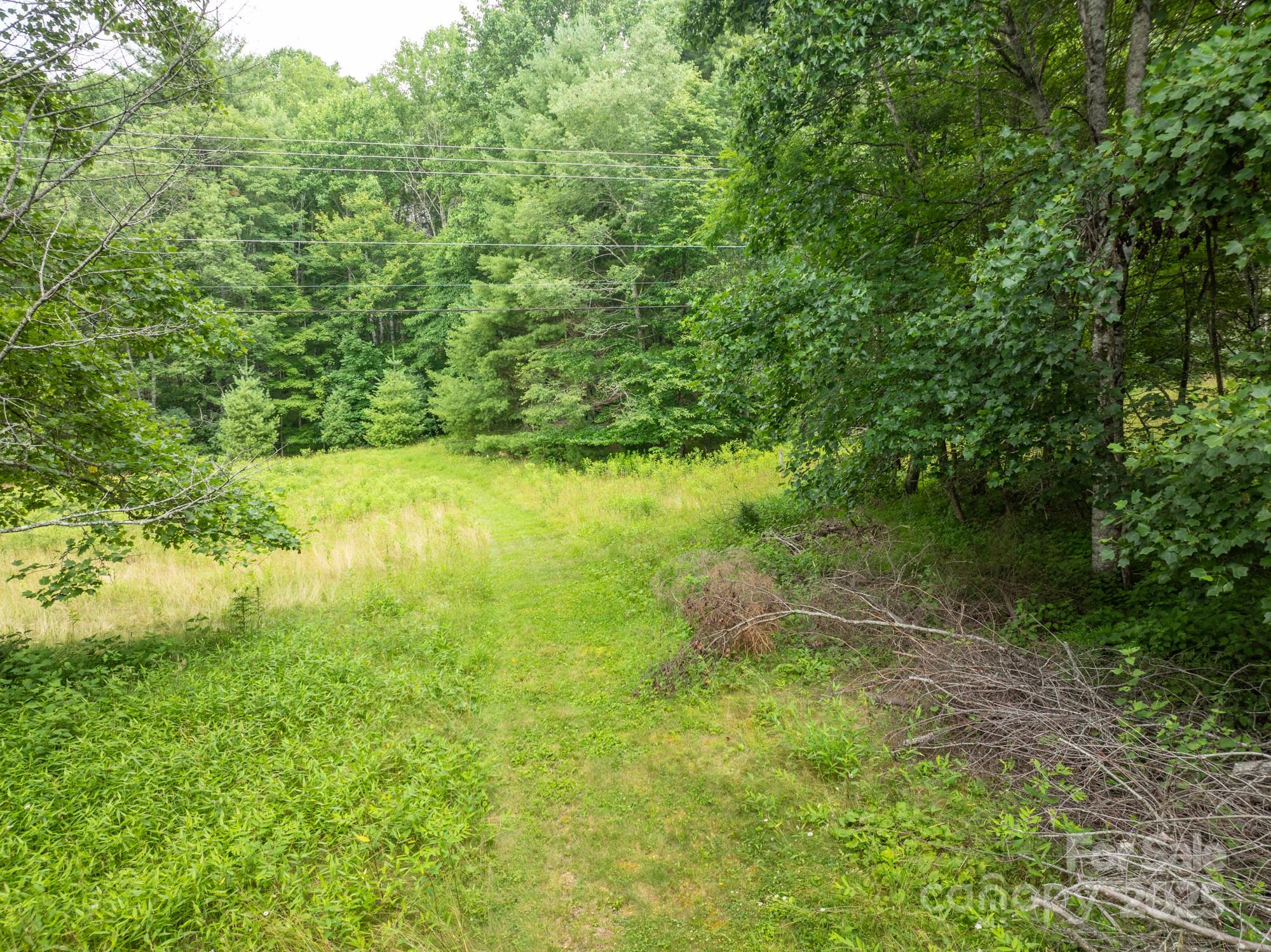 230 West Cove Lane Boone, NC 28607 - Photo 35 of 46 a view of a garden with a lake