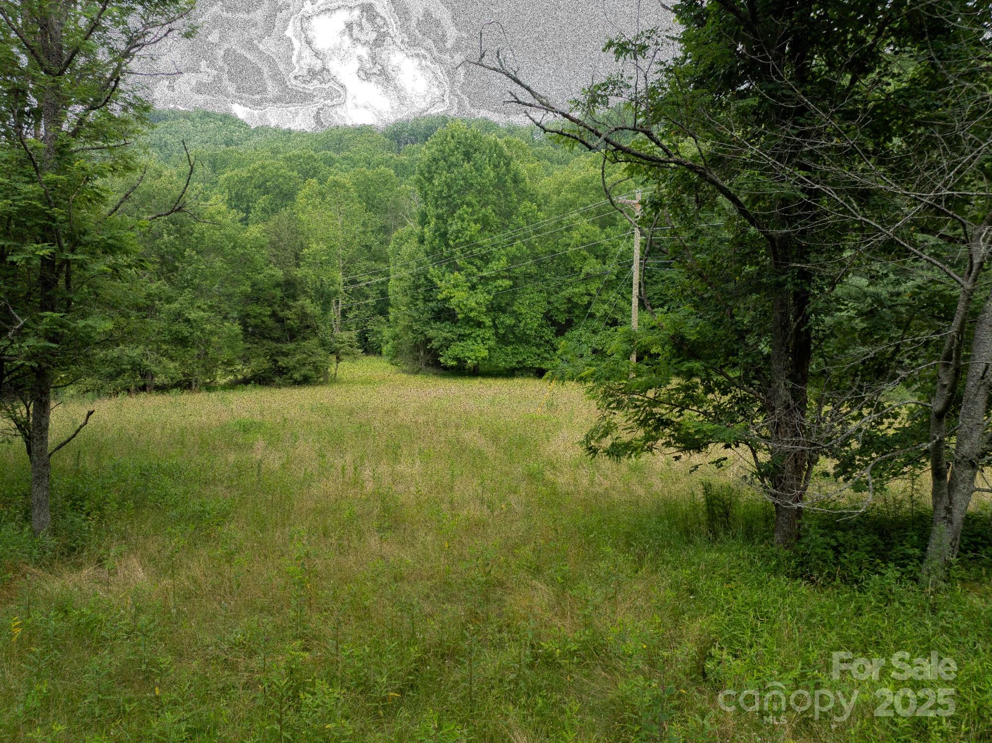 230 West Cove Lane Boone, NC 28607 - Photo 36 of 46 a view of lake background with houses