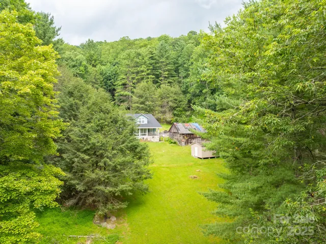 a view of a big yard with large trees