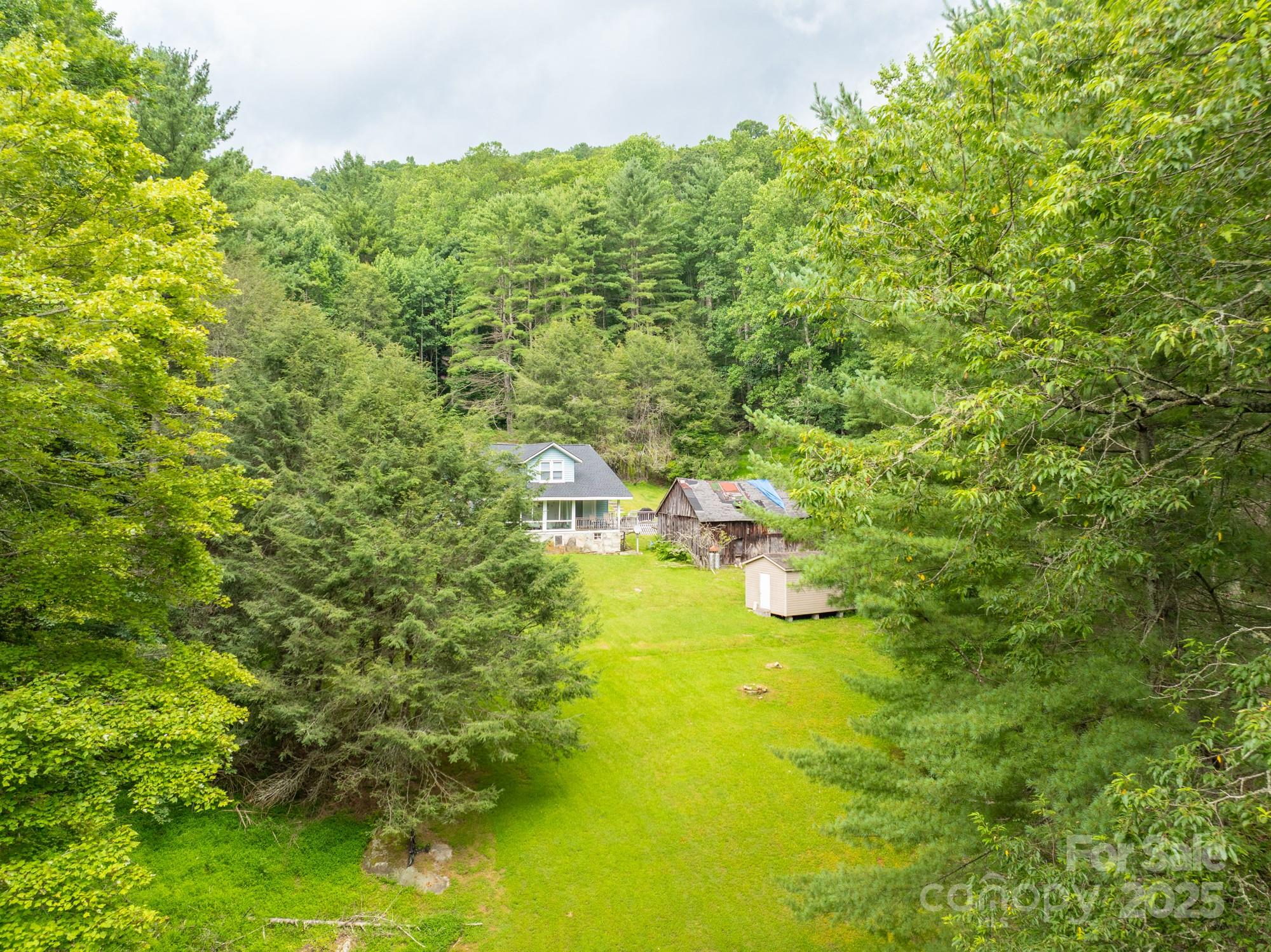 230 West Cove Lane Boone, NC 28607 - Photo 39 of 46 a view of a yard with swimming pool