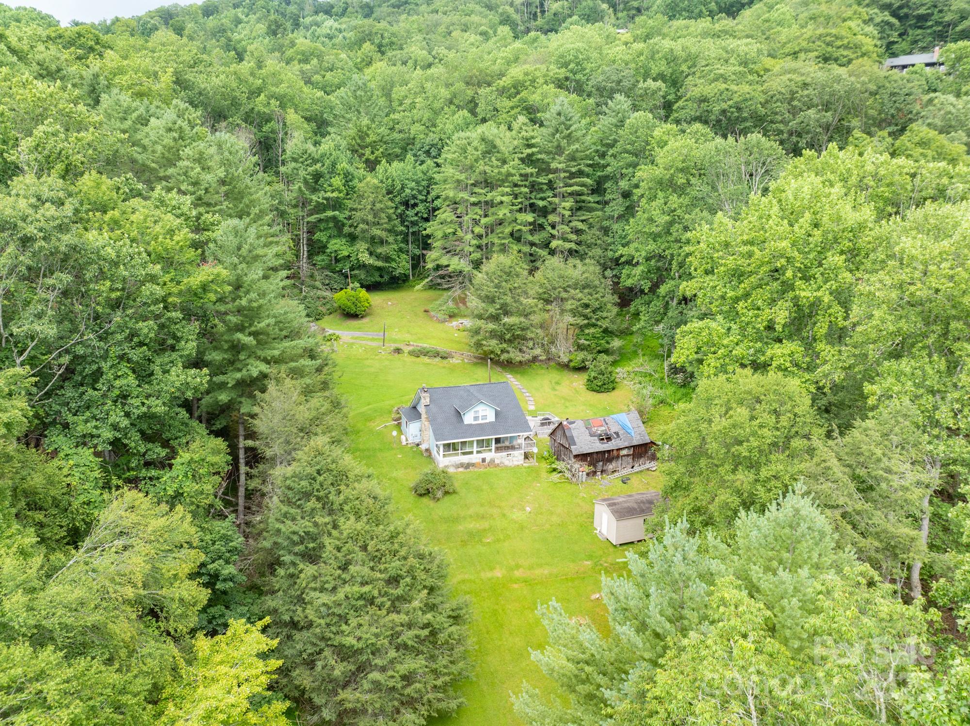 230 West Cove Lane Boone, NC 28607 - Photo 40 of 46 a close up of a plant in a garden