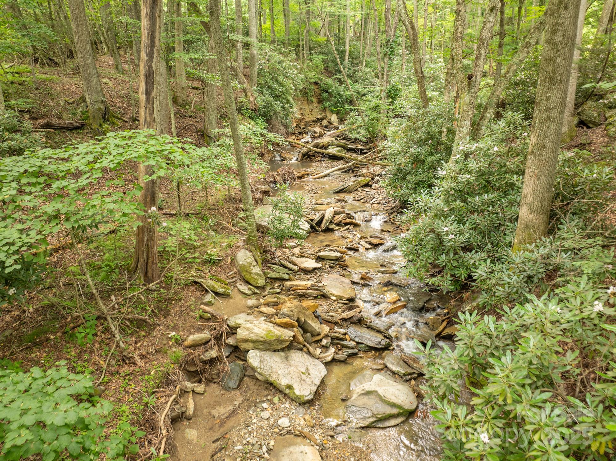 230 West Cove Lane Boone, NC 28607 - Photo 5 of 46