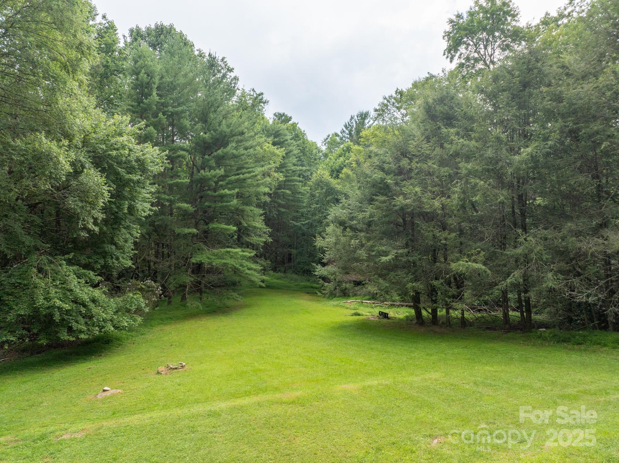 230 West Cove Lane Boone, NC 28607 - Photo 7 of 46 a view of a garden
