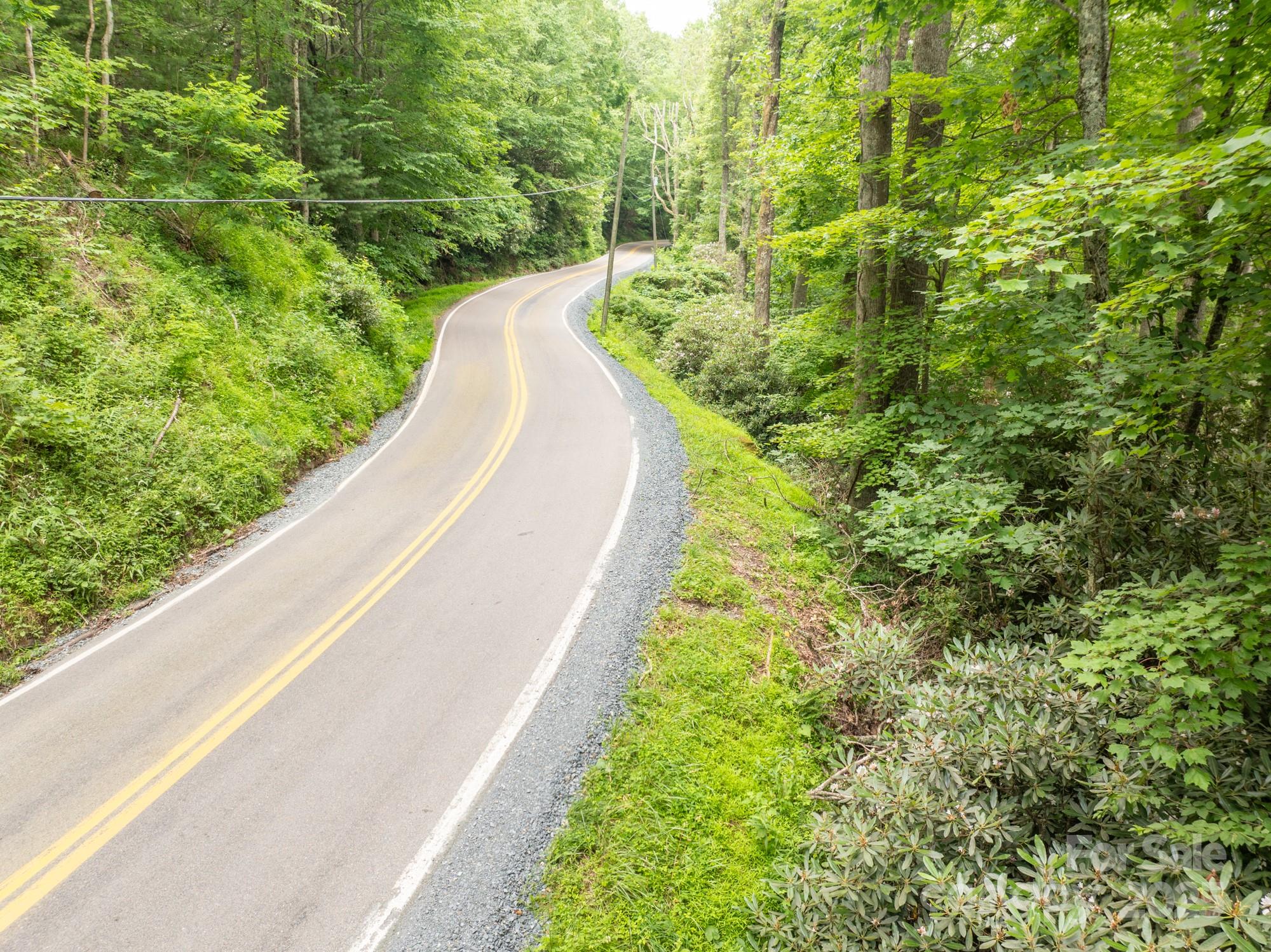 230 West Cove Lane Boone, NC 28607 - Photo 9 of 46 a view of a yard with plants