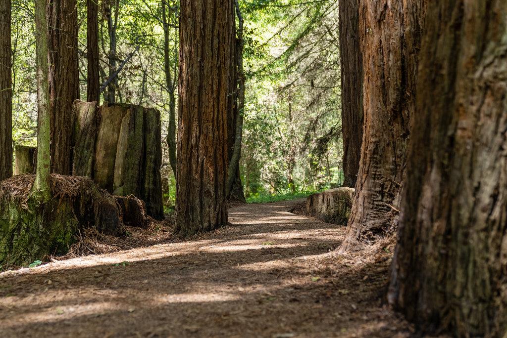 500 Valencia School Road Aptos, CA 95003 - Photo 42 of 44