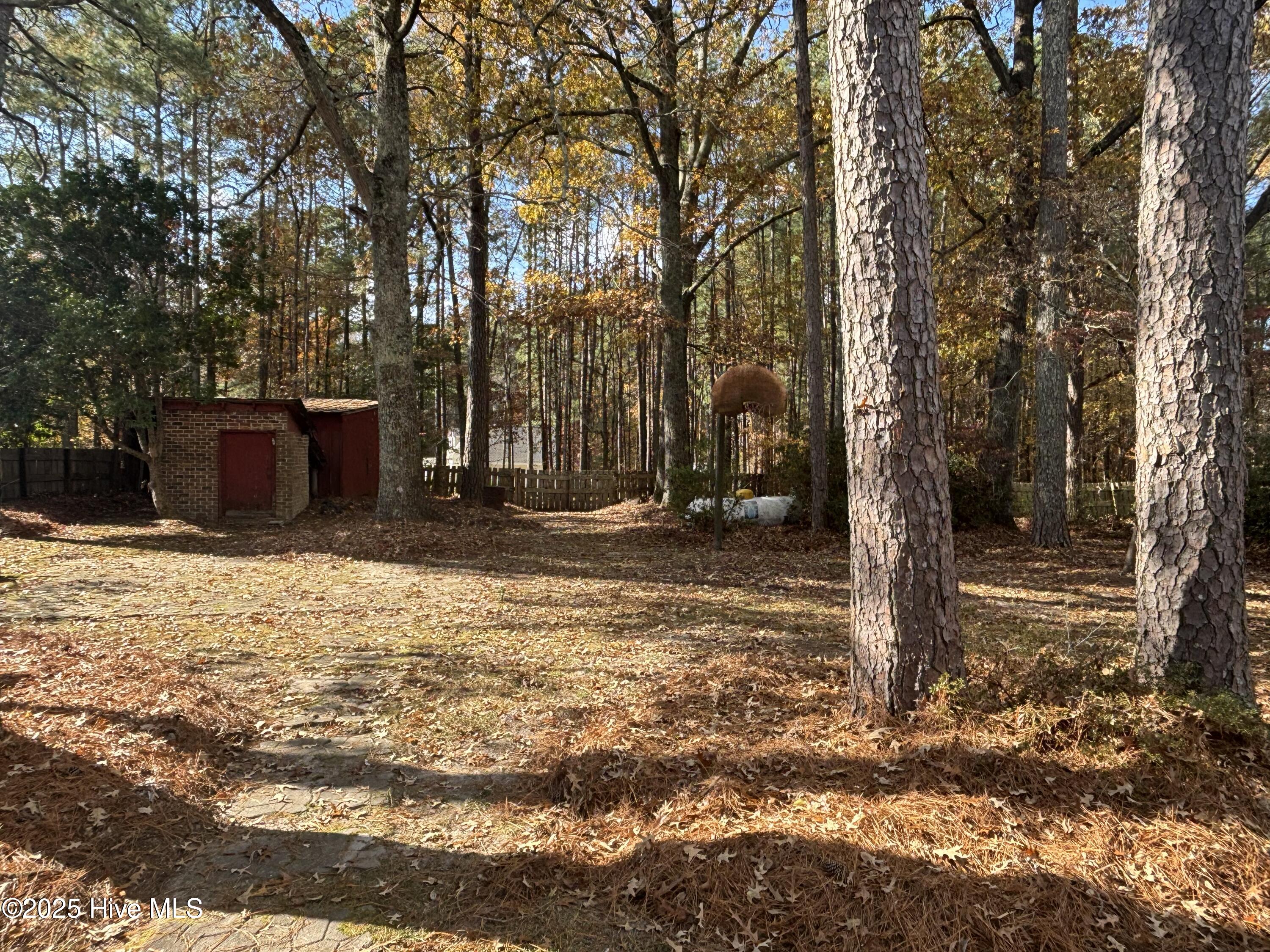 247 Vaughans Creek Road Murfreesboro, NC 27855 - Photo 31 of 32 Back Yard