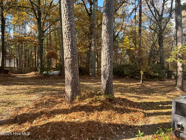 $275,000 | 247 Vaughans Creek Road, Murfreesboro, NC 27855