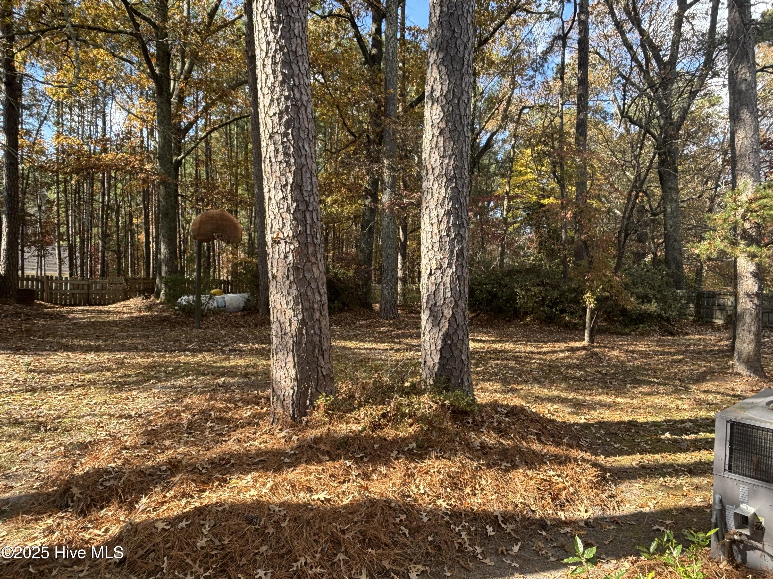 247 Vaughans Creek Road Murfreesboro, NC 27855 - Photo 32 of 32 Back Yard