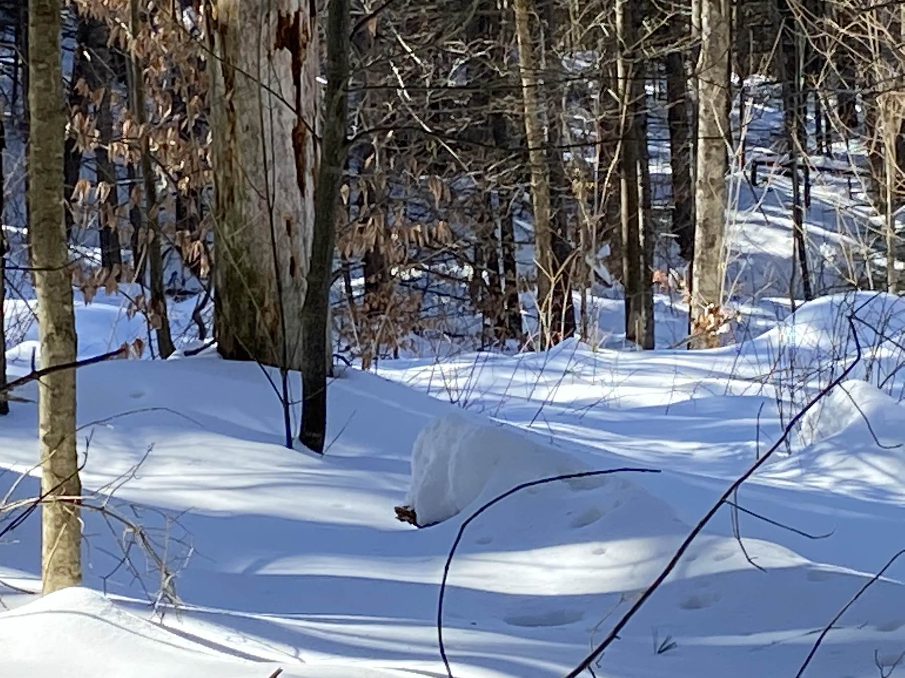 160 Larrow Farm Road Warren, VT 05674 - Photo 5 of 7
