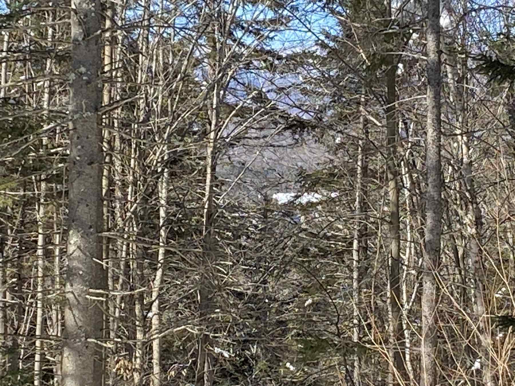 160 Larrow Farm Road Warren, VT 05674 - Photo 6 of 7