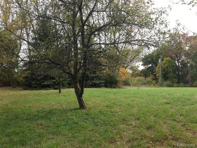 375 North Latson Road Howell, MI 48843 - Photo 23 of 25 Yard