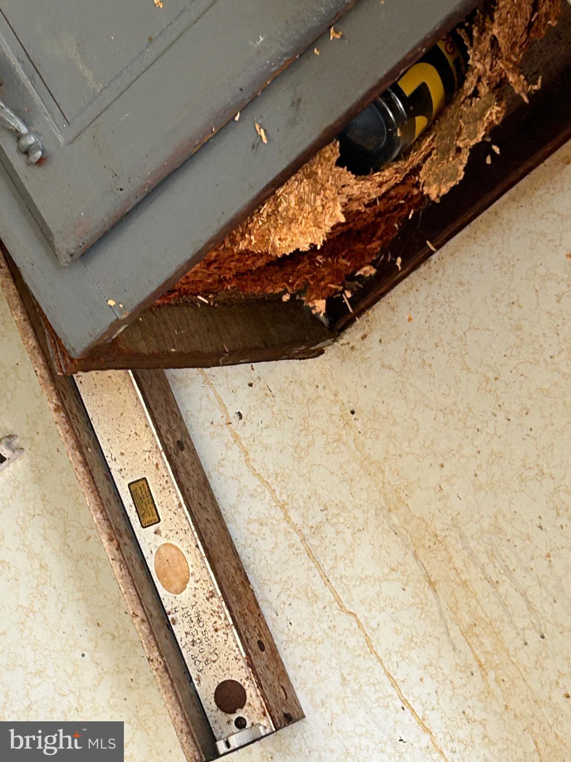 3529 East Fayette Street Baltimore, MD 21224 - Photo 5 of 23 Hidden damage reveals a structural concern.