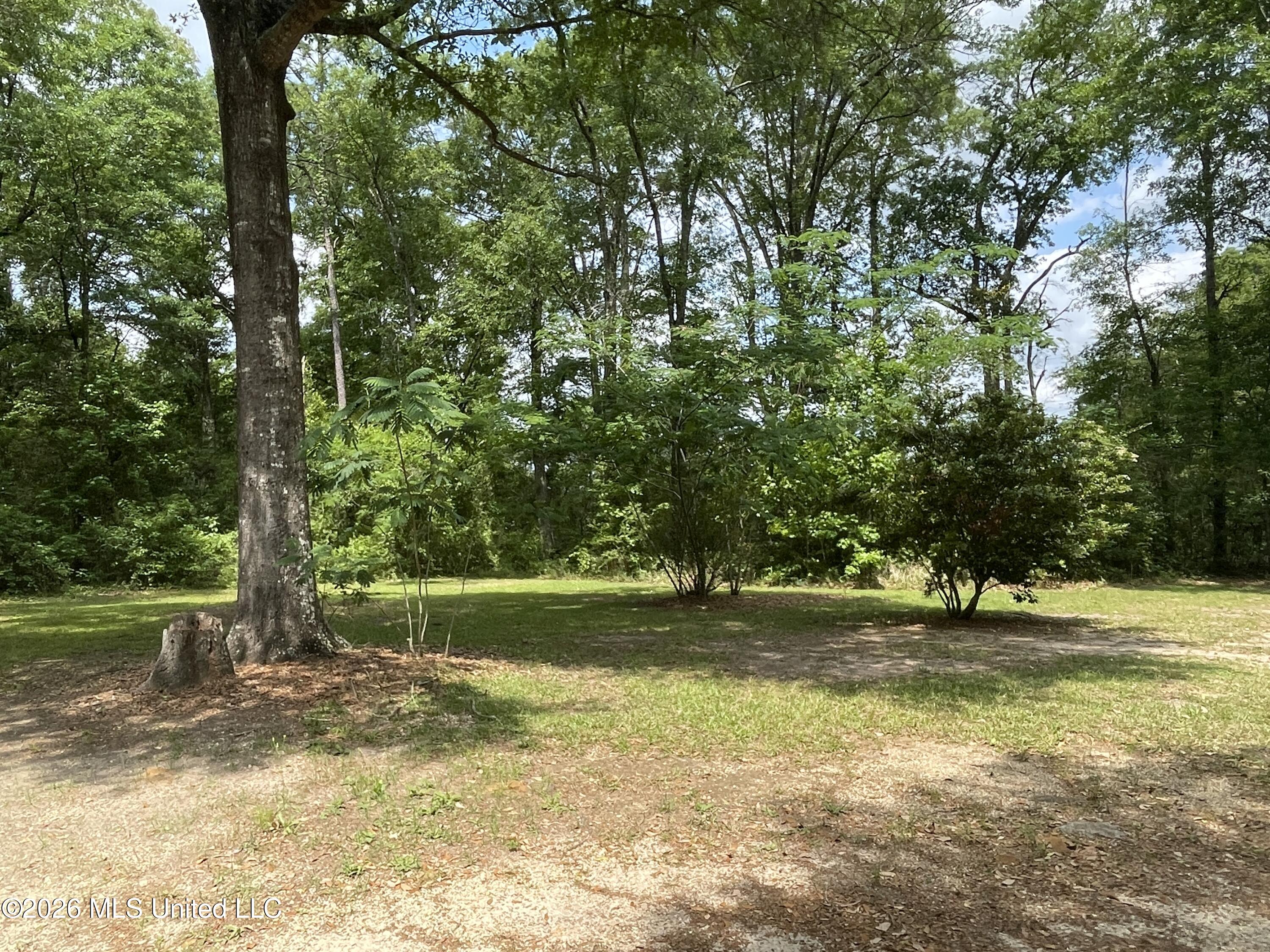 254 Twin Creek Road Lucedale, MS 39452 - Photo 11 of 12 IMG_7777