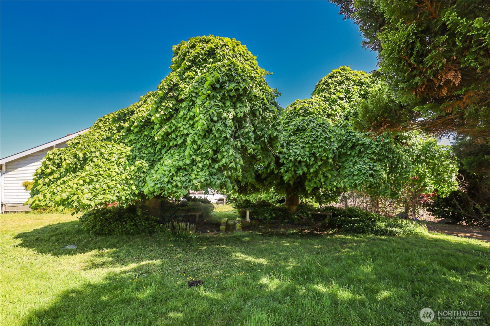 55 Devonshire Road Montesano, WA 98563 - Photo 7 of 27