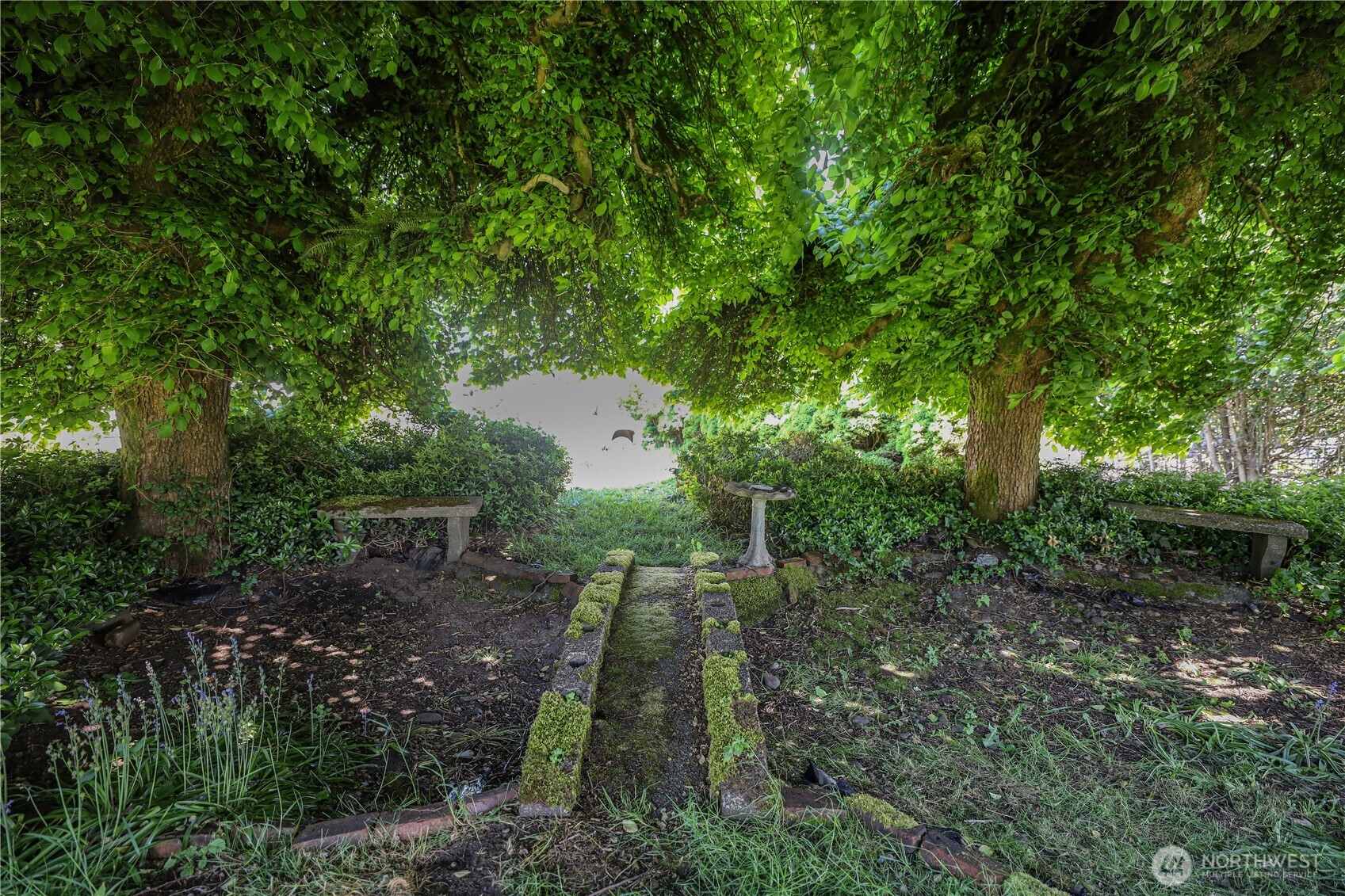 55 Devonshire Road Montesano, WA 98563 - Photo 8 of 27