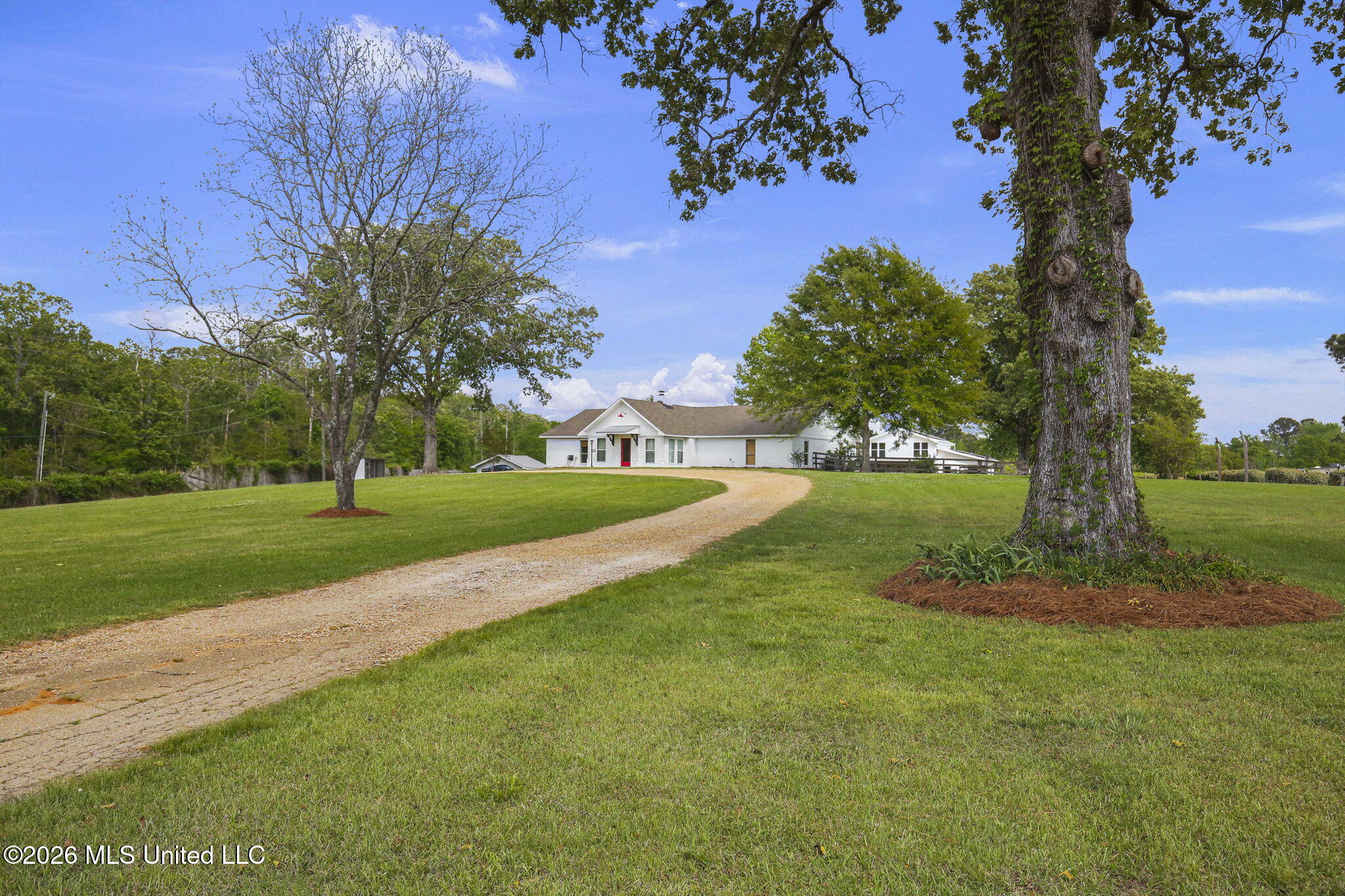 101 Lakeview Road Brandon, MS 39047 - Photo 4 of 145 4-web-or-mls-101 Lakeview-4