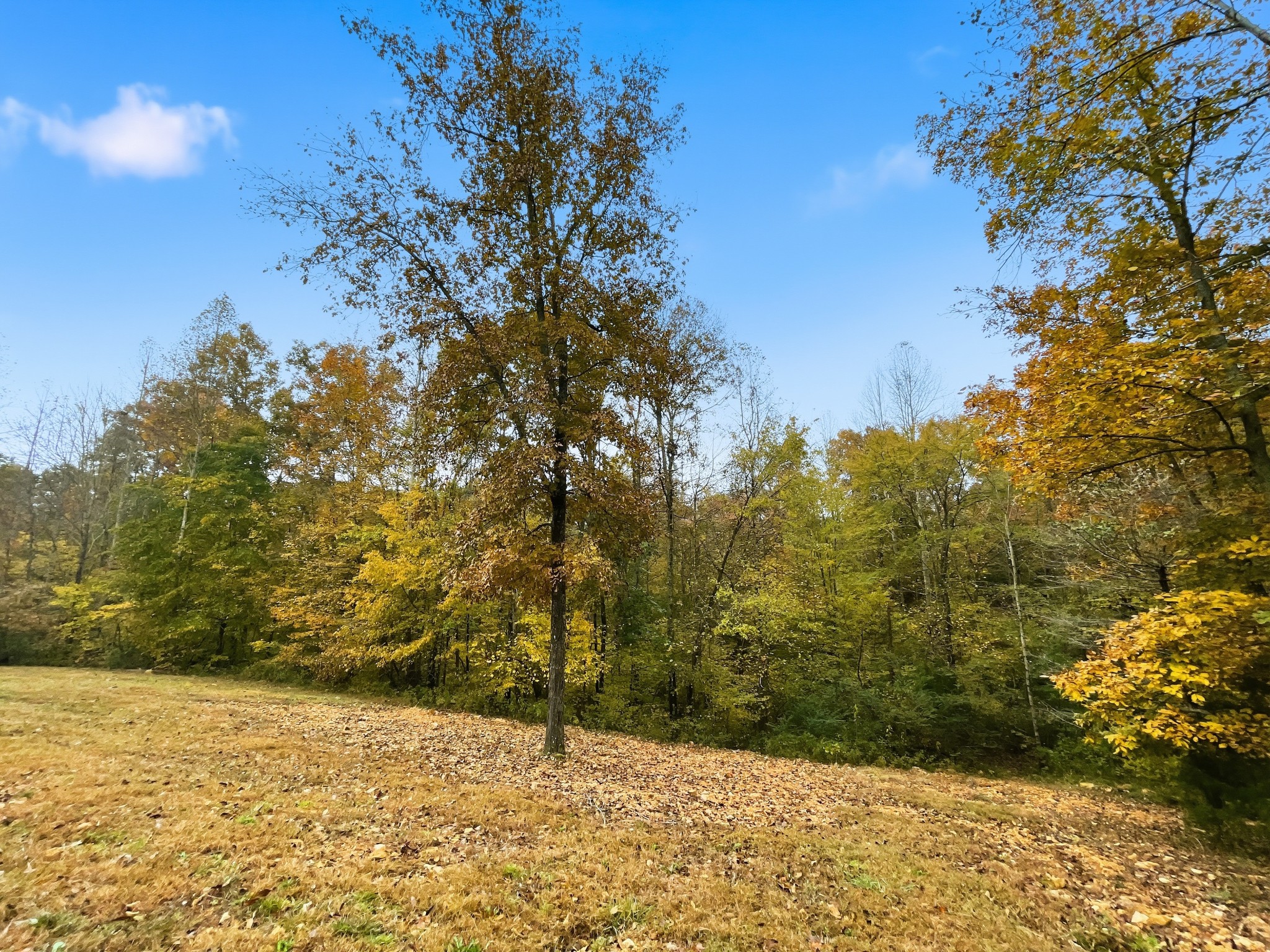 4310 Surji Circle Centerville, TN 37033 - Photo 8 of 28