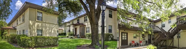 a view of a garden with a plants