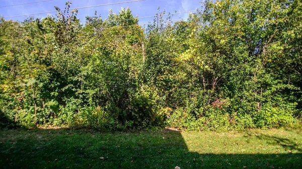 $2,000 | 1430 Fox Pointe Circle, Unit 43, Ann Arbor, MI 48108