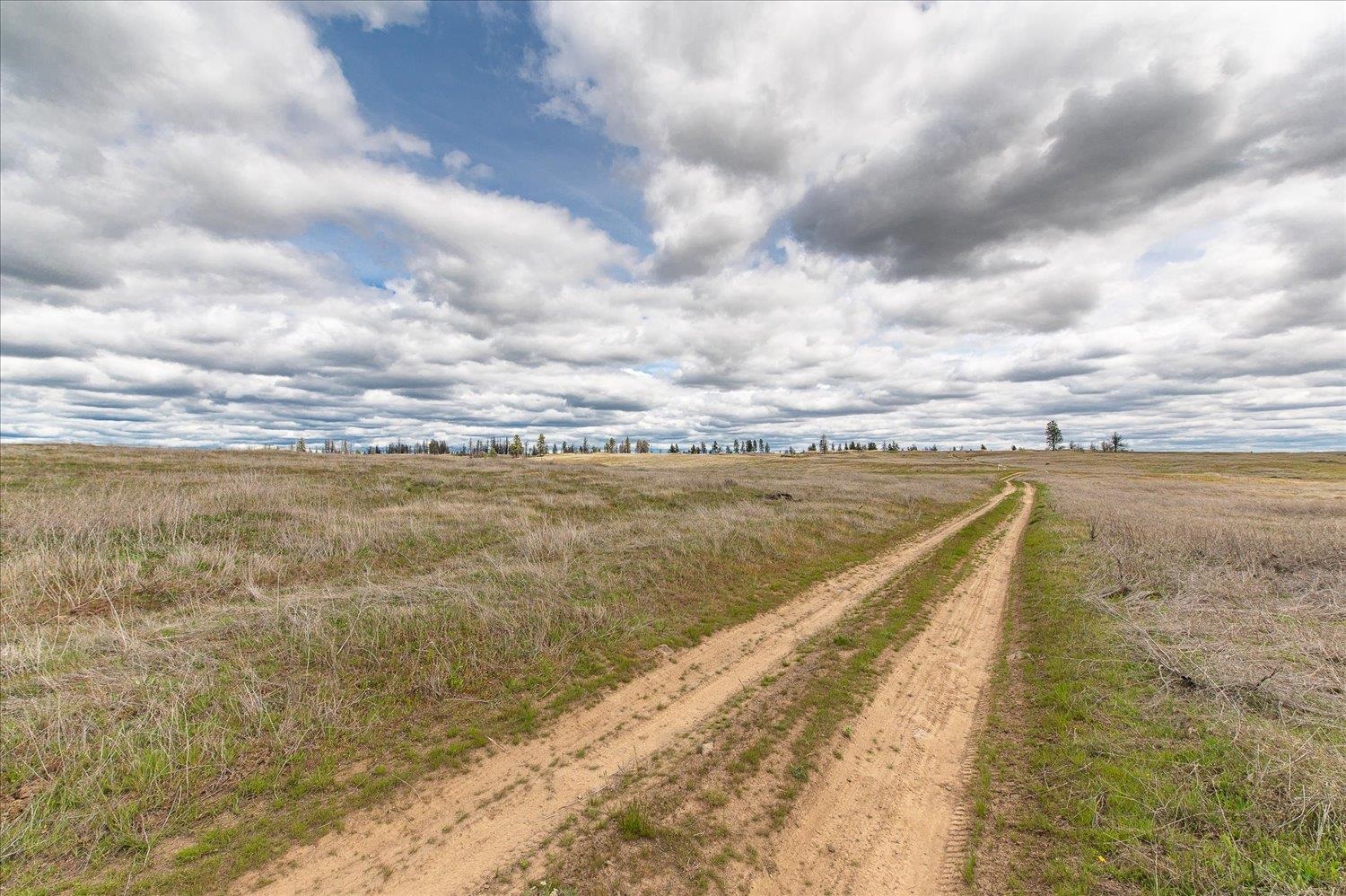 26405 Lone Pine Road East Davenport, WA 99122 - Photo 12 of 16