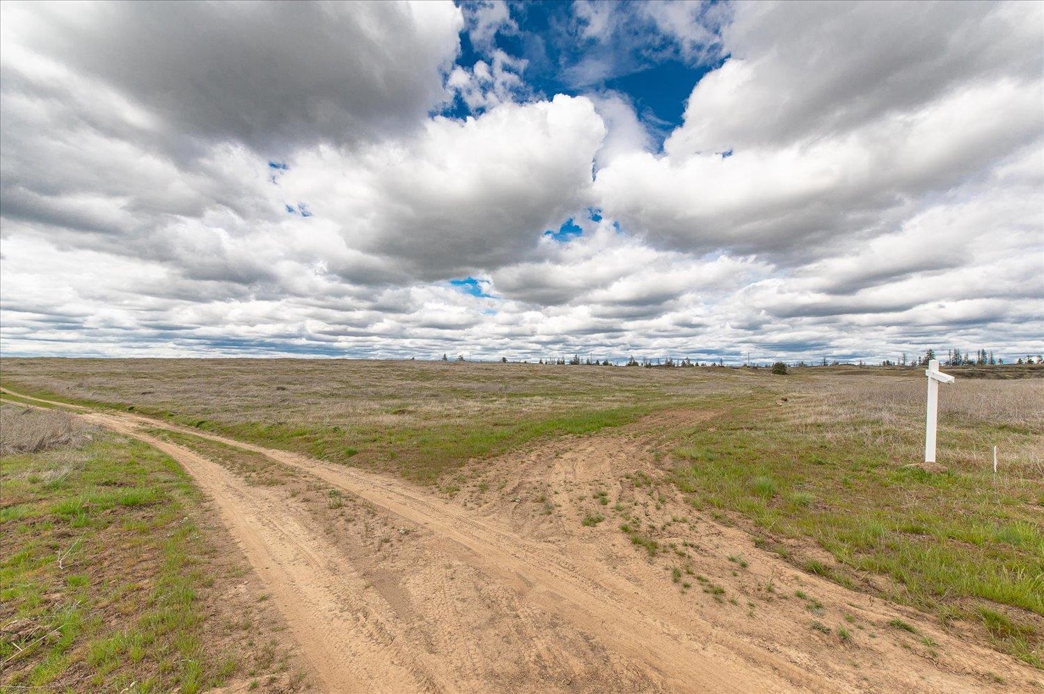 26405 Lone Pine Road East Davenport, WA 99122 - Photo 15 of 16