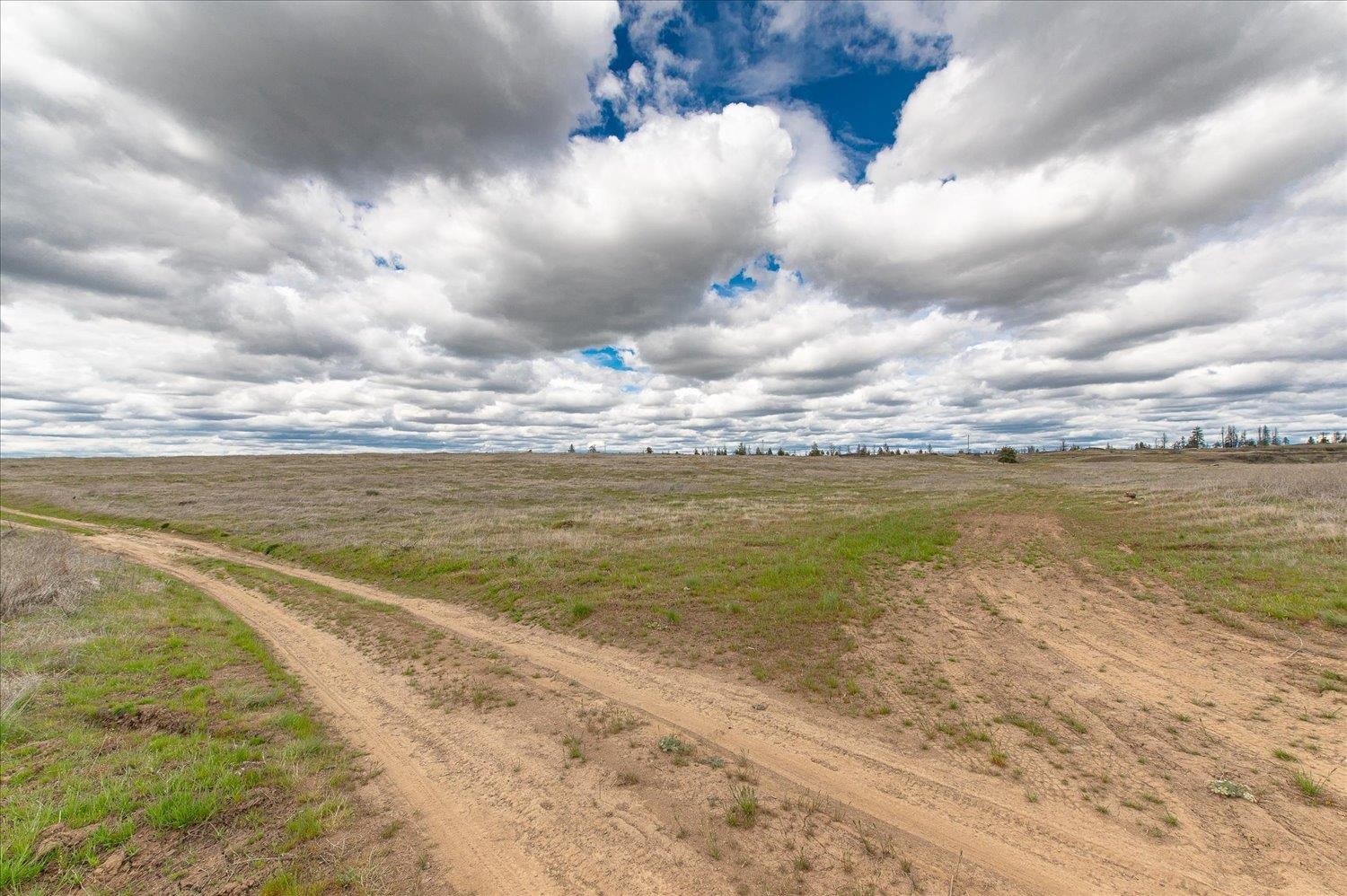 26405 Lone Pine Road East Davenport, WA 99122 - Photo 16 of 16