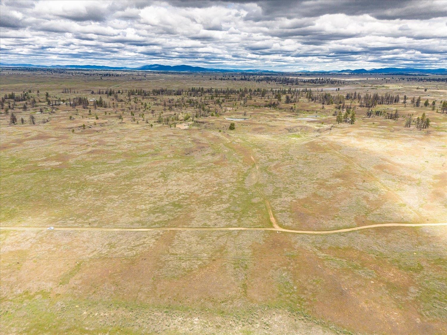 26405 Lone Pine Road East Davenport, WA 99122 - Photo 3 of 16