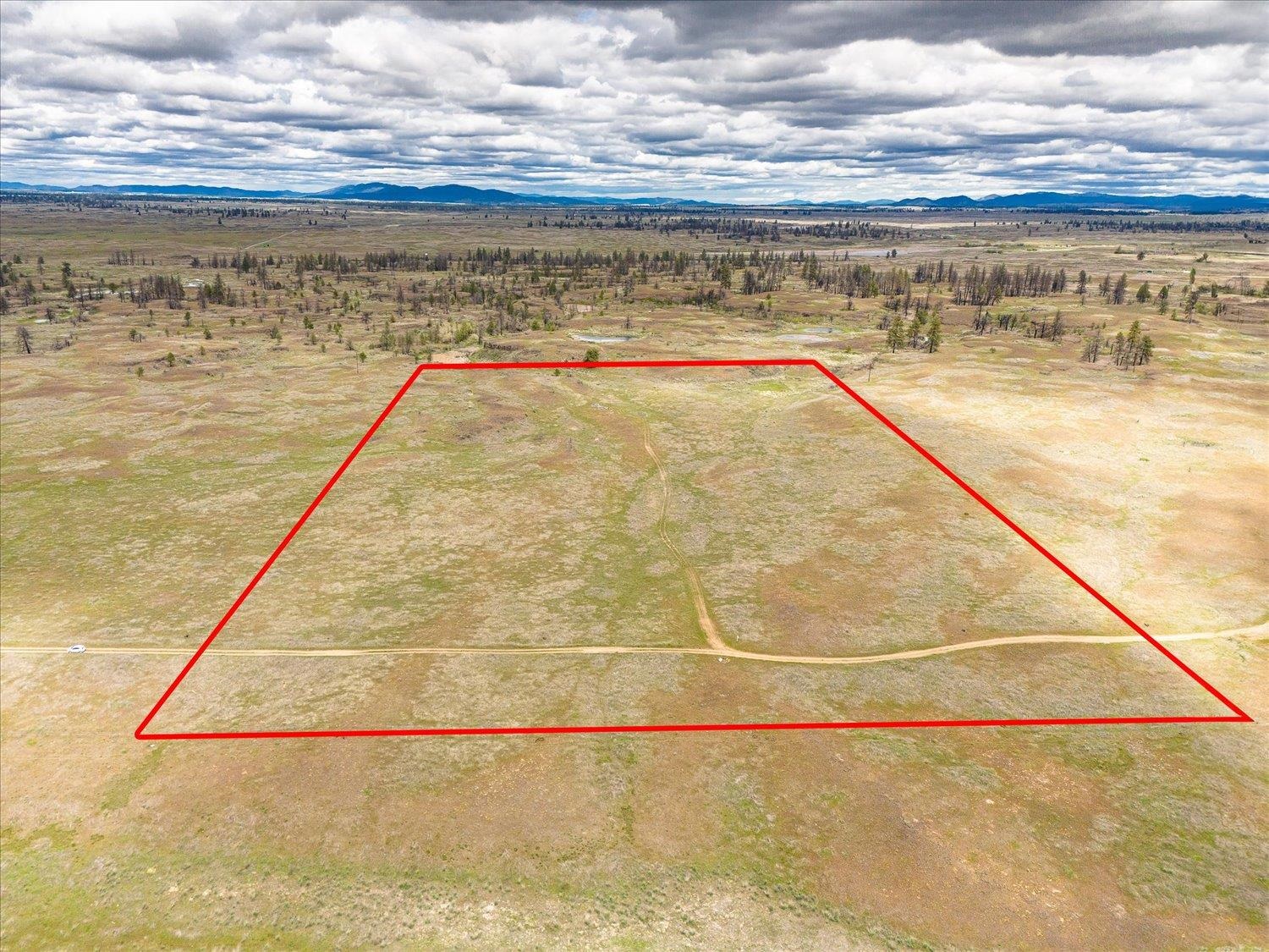 26405 Lone Pine Road East Davenport, WA 99122 - Photo 4 of 16