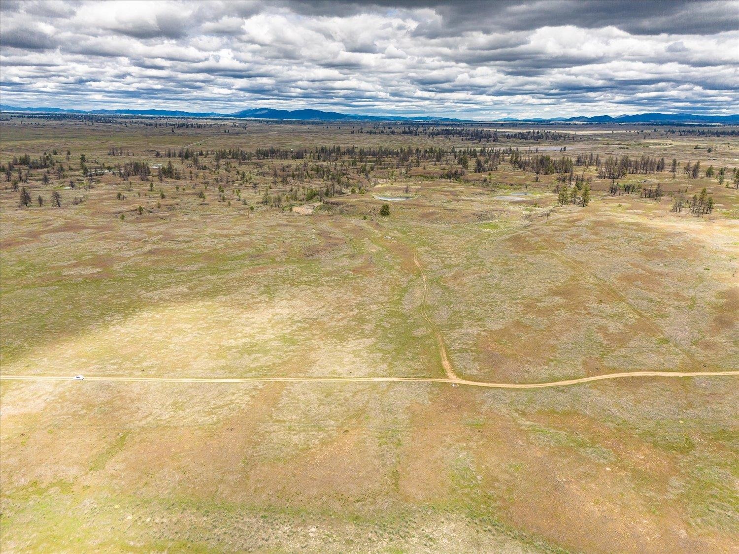 26405 Lone Pine Road East Davenport, WA 99122 - Photo 5 of 16