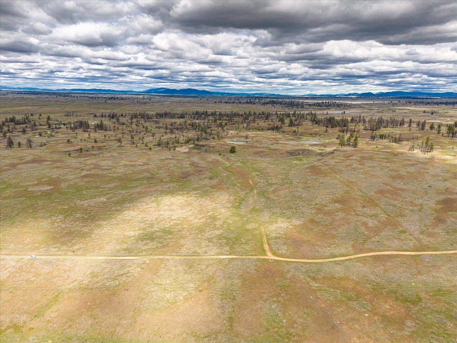 26405 Lone Pine Road East Davenport, WA 99122 - Photo 6 of 16