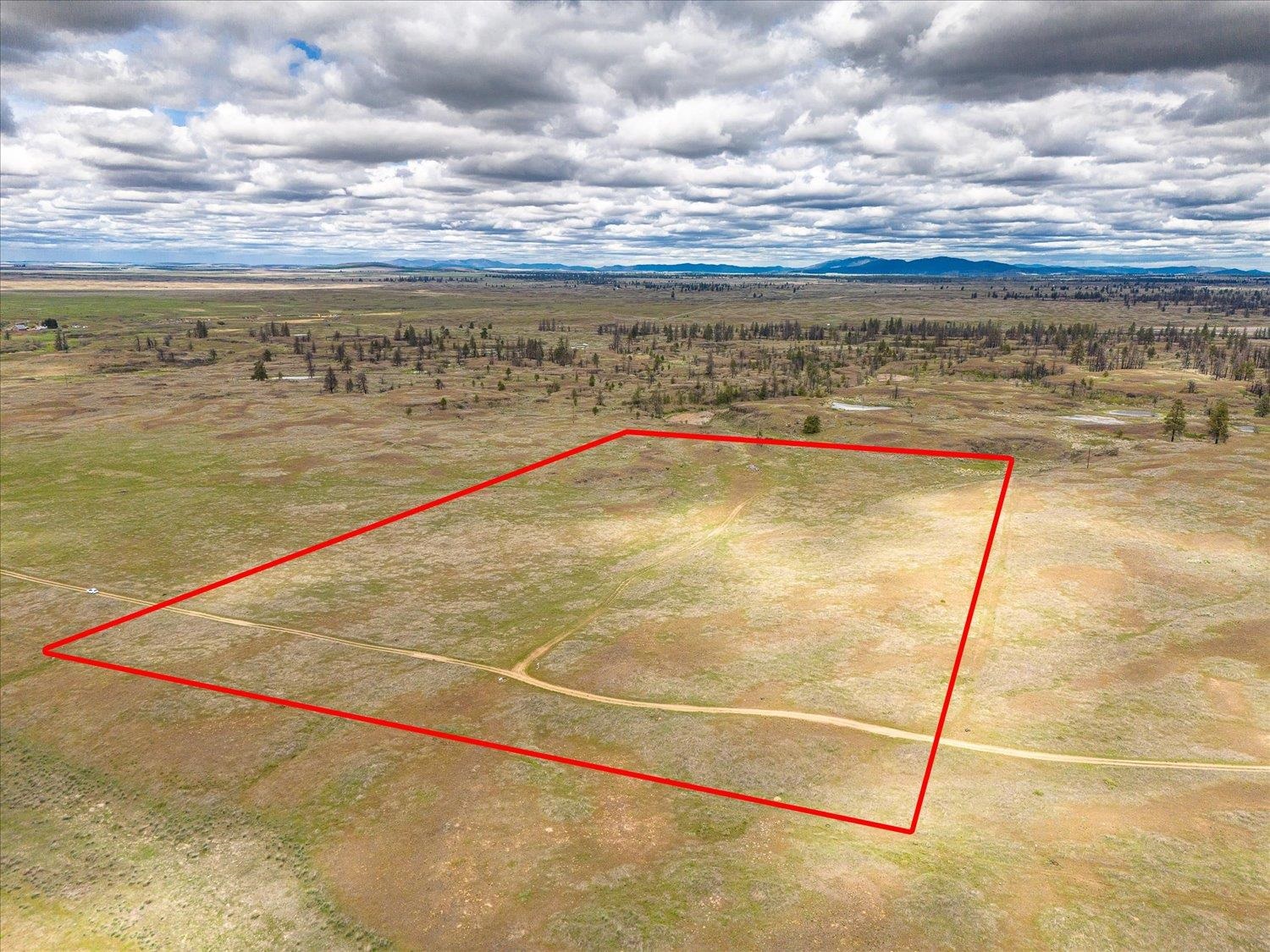 26405 Lone Pine Road East Davenport, WA 99122 - Photo 8 of 16