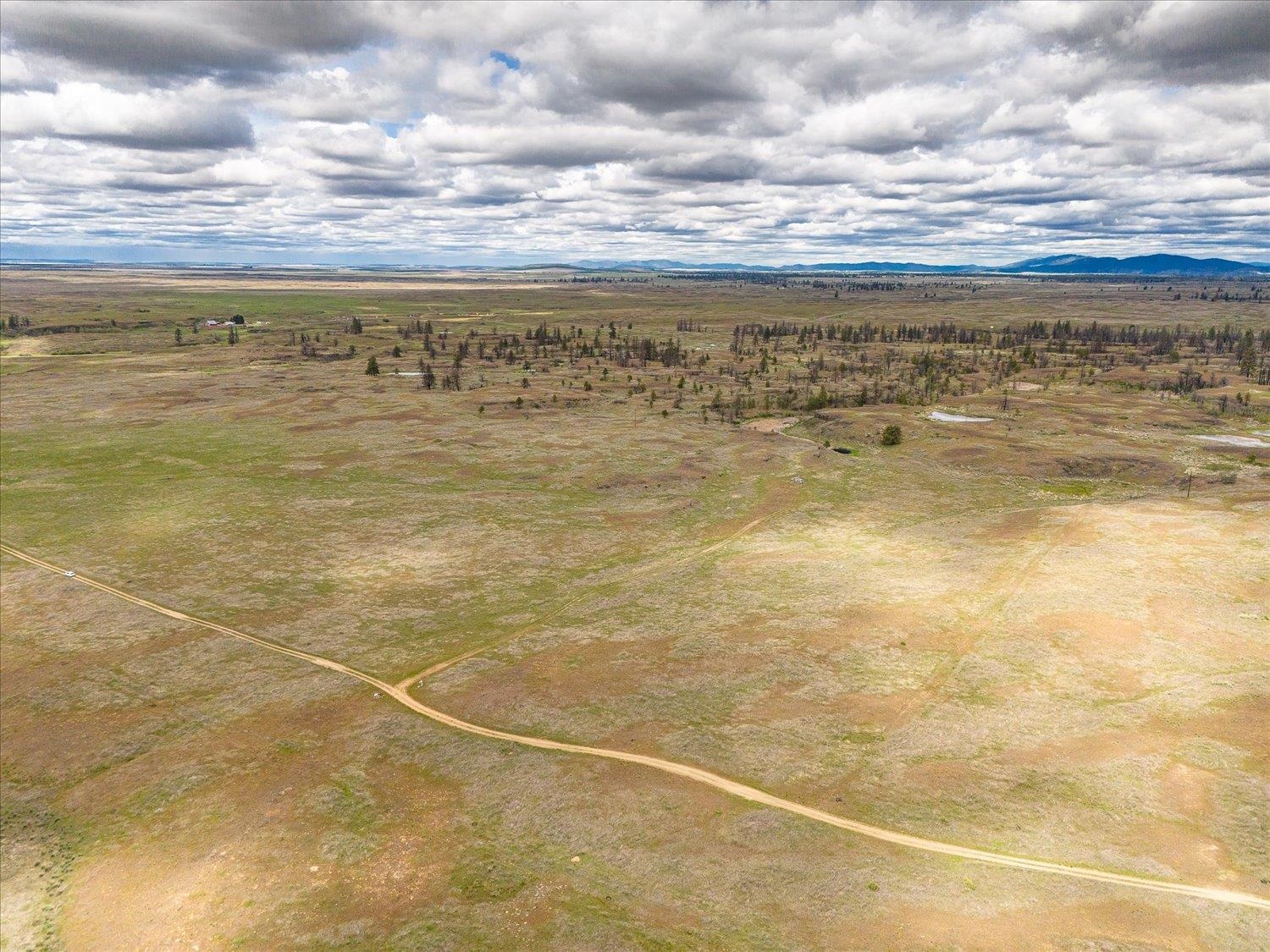 26405 Lone Pine Road East Davenport, WA 99122 - Photo 9 of 16