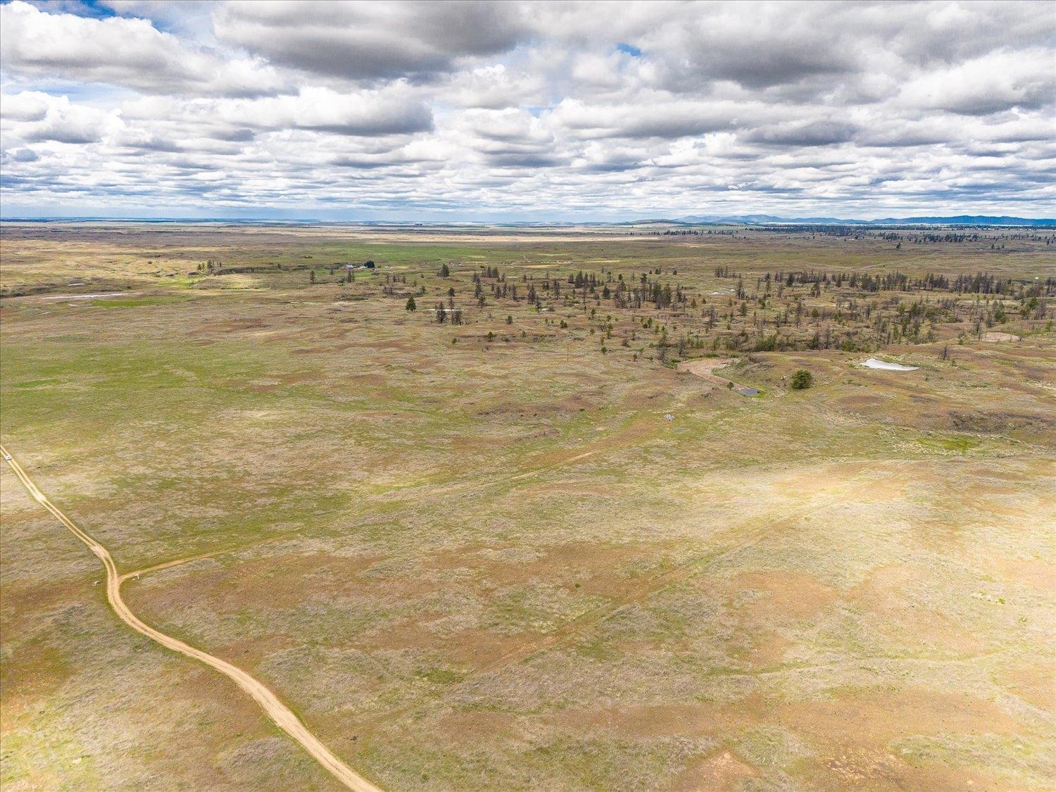 26405 Lone Pine Road East Davenport, WA 99122 - Photo 10 of 16