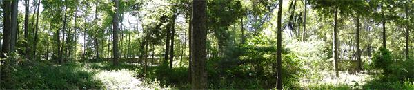 3 Glendale Road Sharon, MA 02067 - Photo 3 of 8