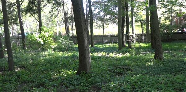 3 Glendale Road Sharon, MA 02067 - Photo 8 of 8