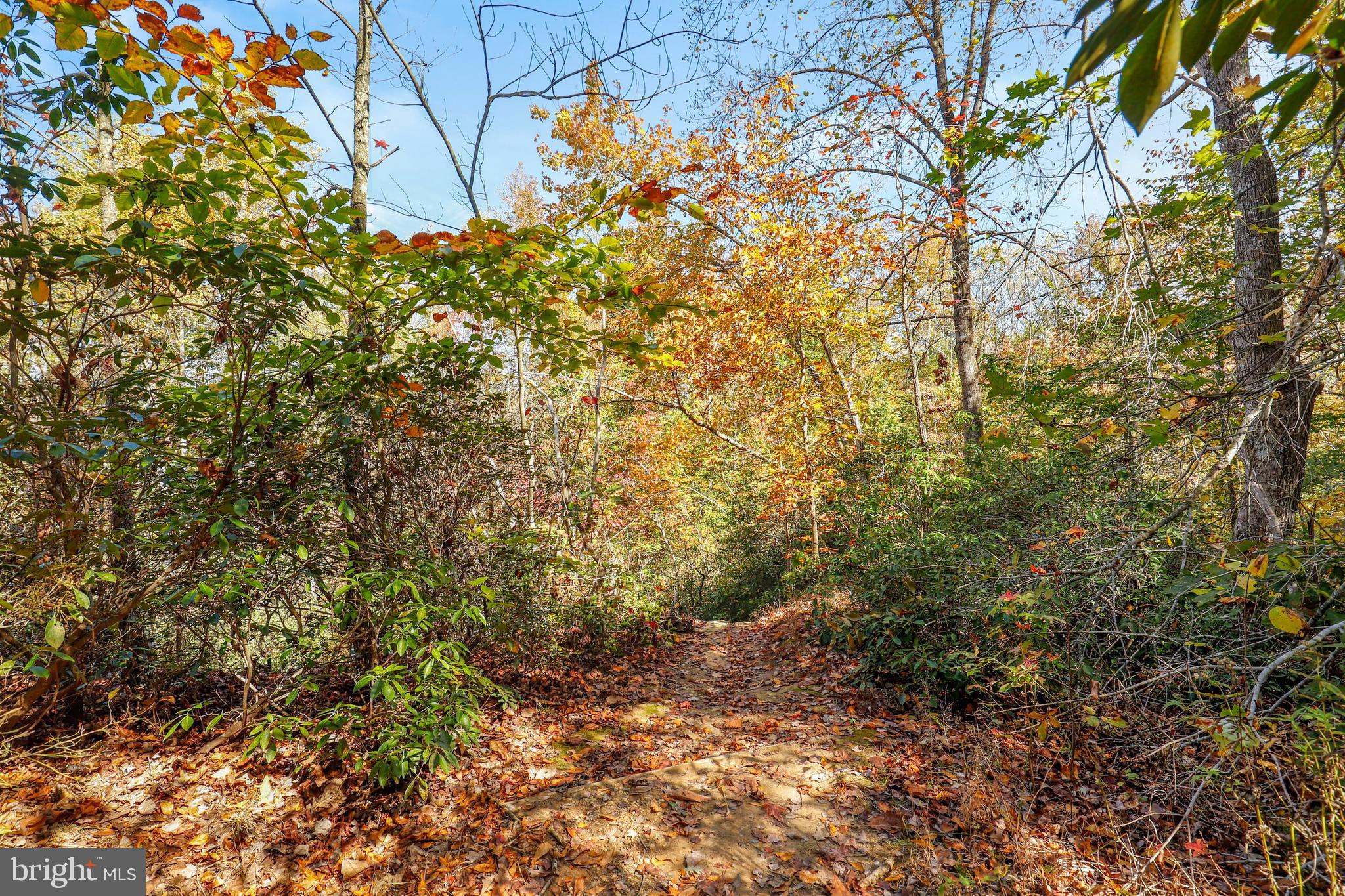 324 Shields Road Stafford, VA 22554 - Photo 56 of 66