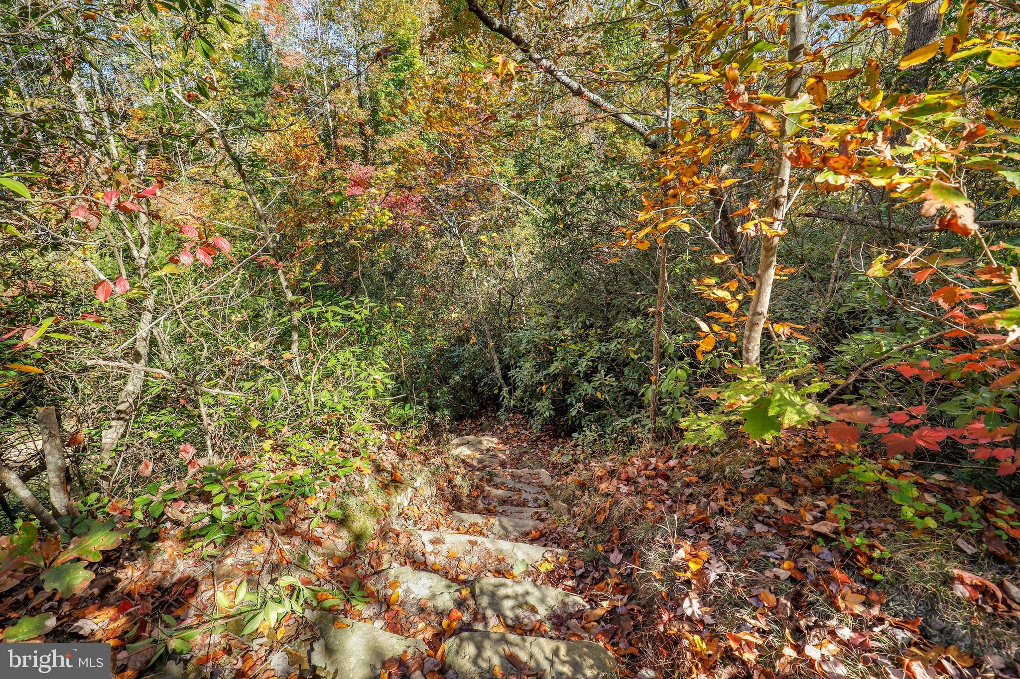 324 Shields Road Stafford, VA 22554 - Photo 57 of 66