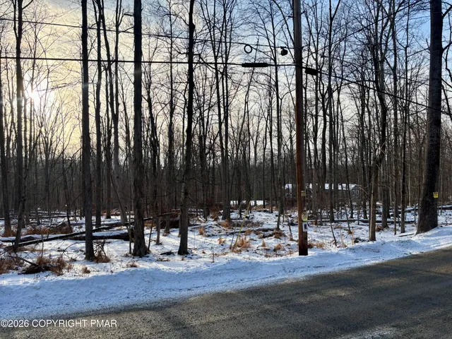 a view of park with large trees