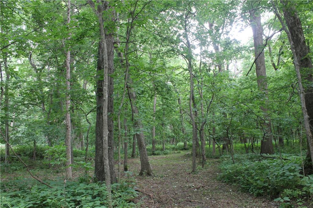 1684 Northwest 785th Road Bates City, MO 64011 - Photo 12 of 15