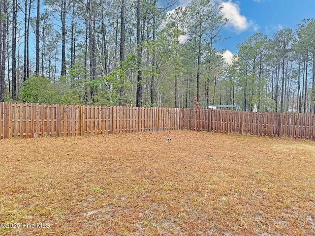 $333,000 | 1610 Lightered Knot Court, Bolivia, NC 28422