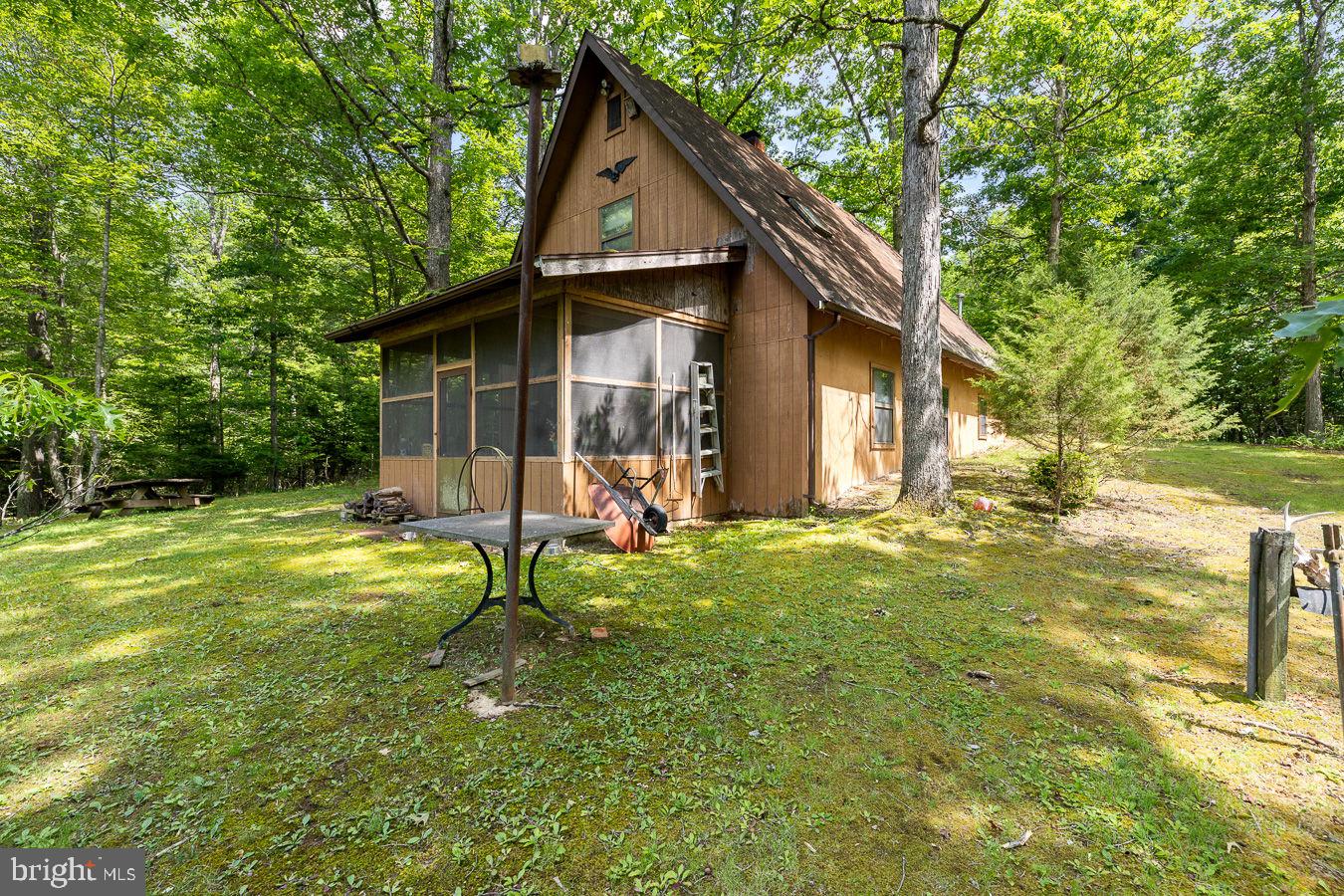 1499 Buggy Ridge Road Mount Jackson, VA 22842 - Photo 5 of 39