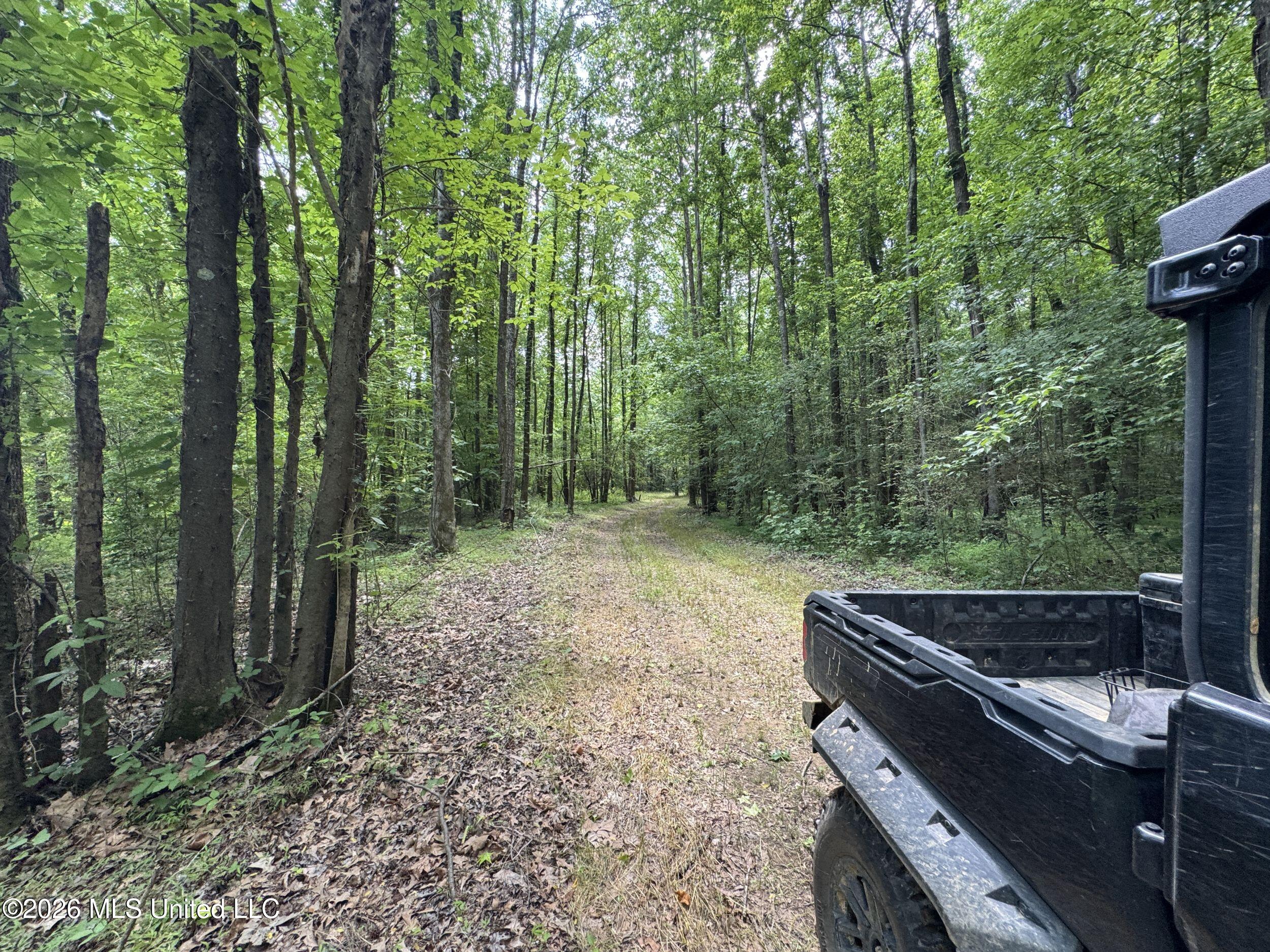 884 Avant Road Crenshaw, MS 38621 - Photo 133 of 154 6dbyicr82