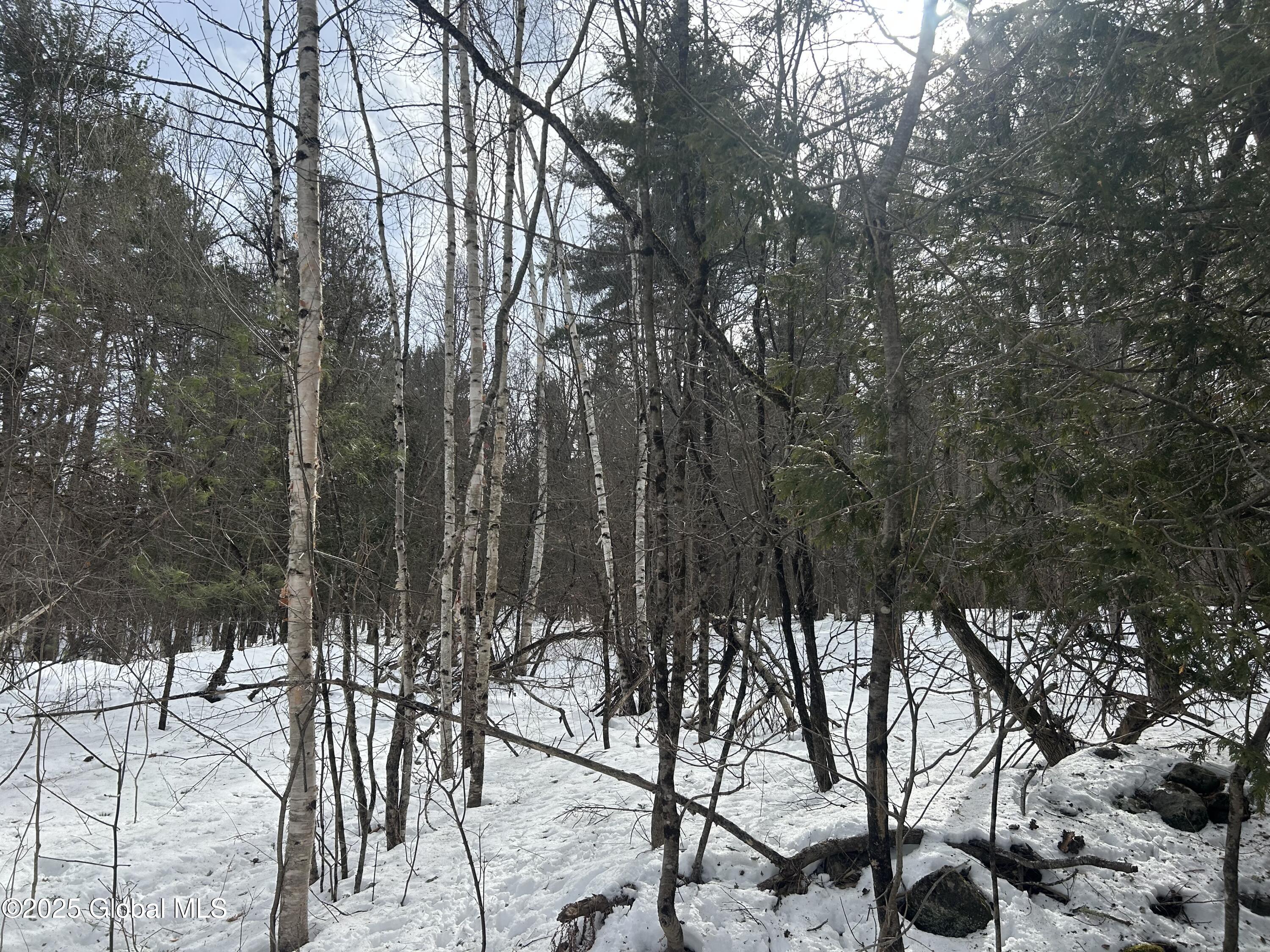 L22.120 Hogback Road Crown Point, NY 12928 - Photo 2 of 4 IMG_8698