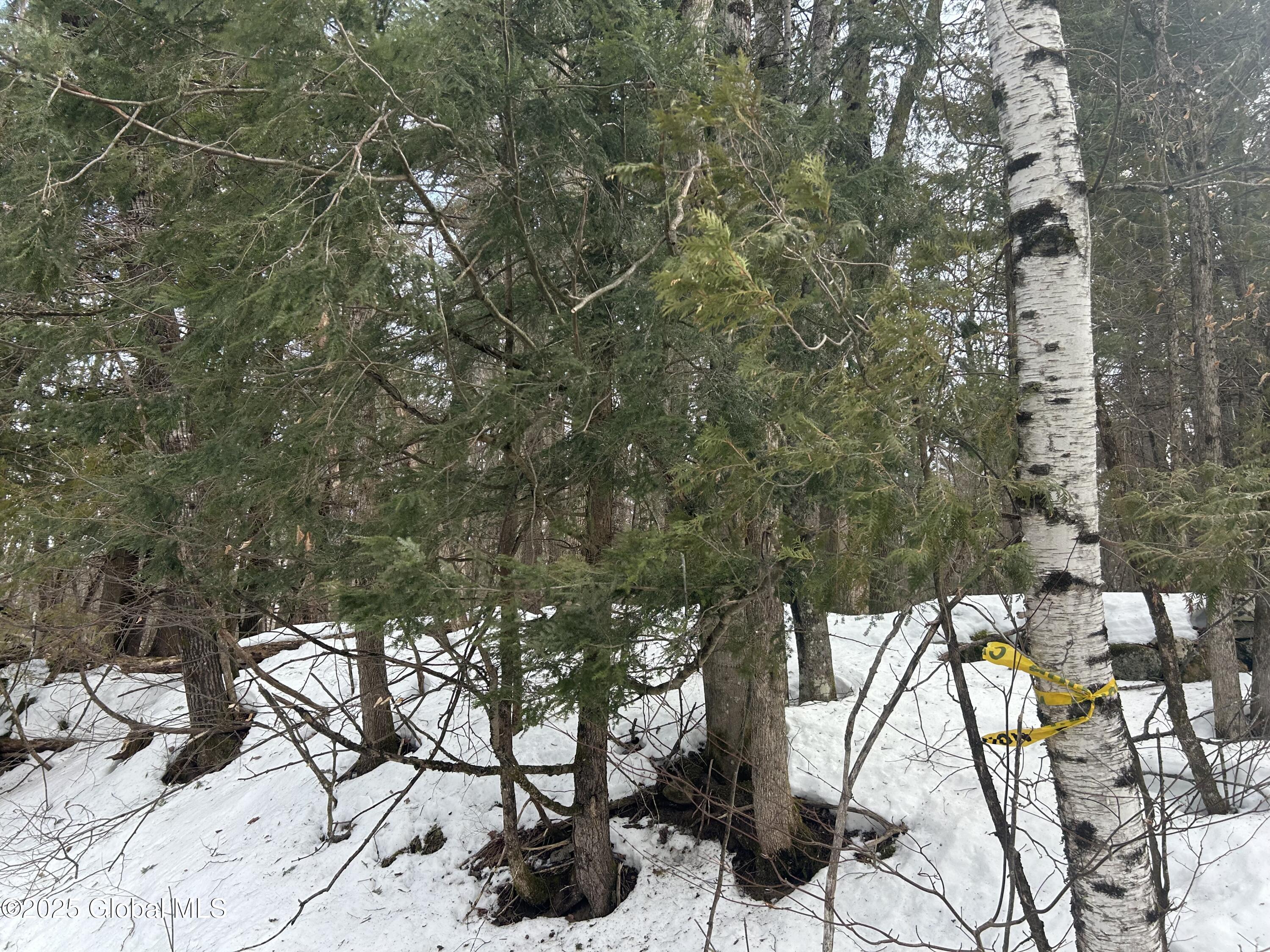 L22.120 Hogback Road Crown Point, NY 12928 - Photo 3 of 4 IMG_8697