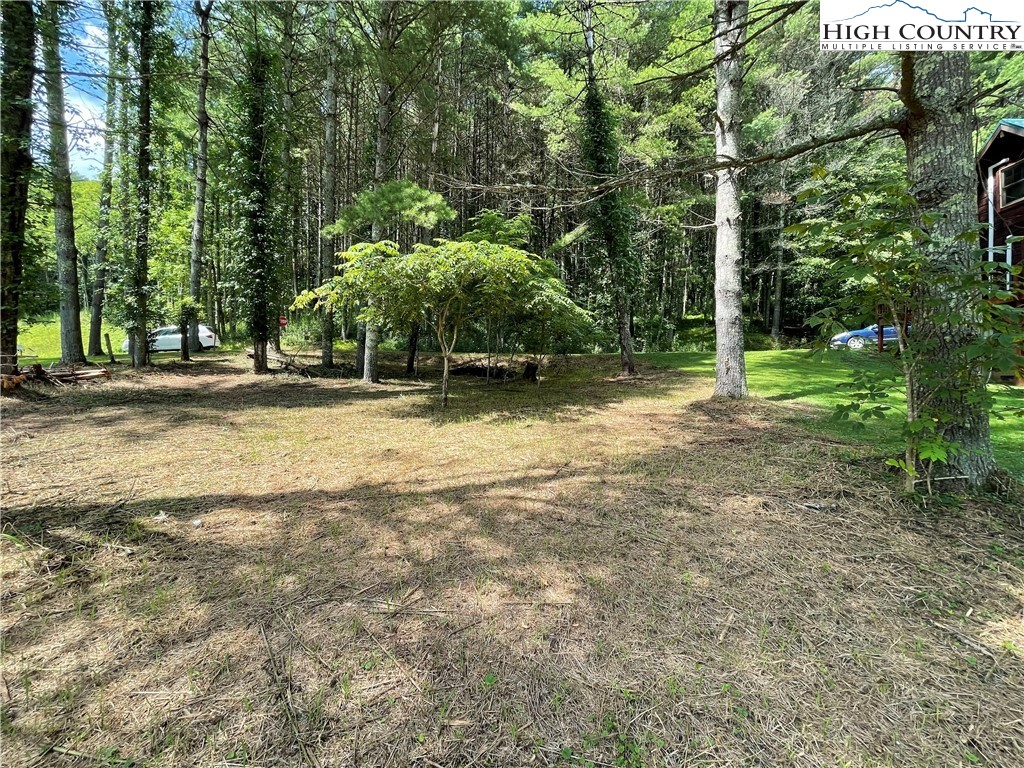 653 Edna Perry Road Crumpler, NC 28617 - Photo 4 of 4 Gallery Image 4