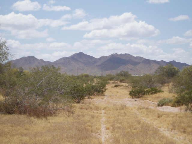 0 West Momoli Road, Unit 108 Maricopa, AZ 85139 - Photo 2 of 3 Additional Photo