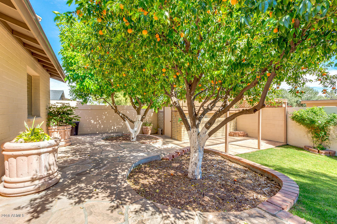 3627 East Bloomfield Road Phoenix, AZ 85032 - Photo 42 of 46 42-Bloomfield
